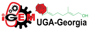 iGEM_UGA_2013